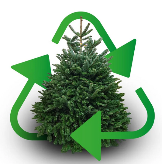 Christmas Tree Collection & Recycling Service