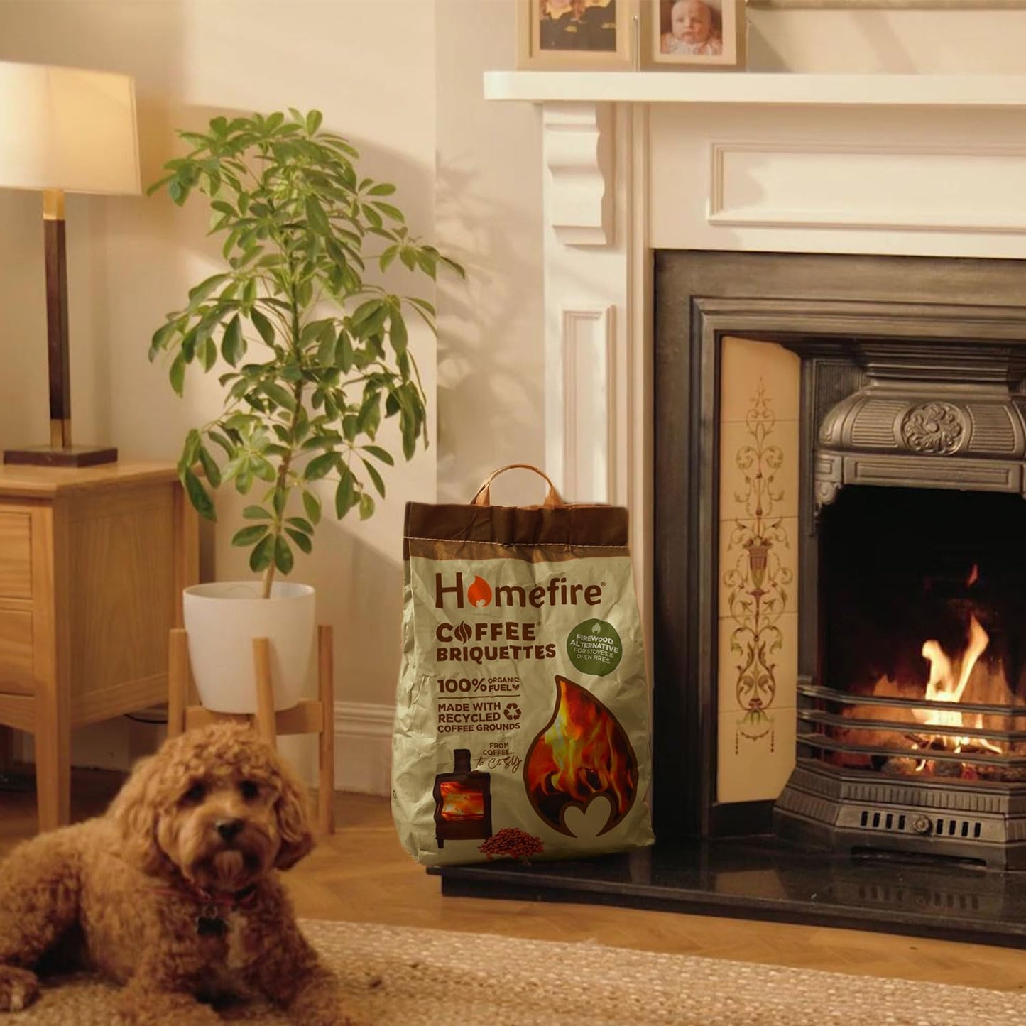 Recycled Coffee Ground Briquettes 7kg bag C&C