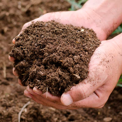 Compost - Bulk Bag