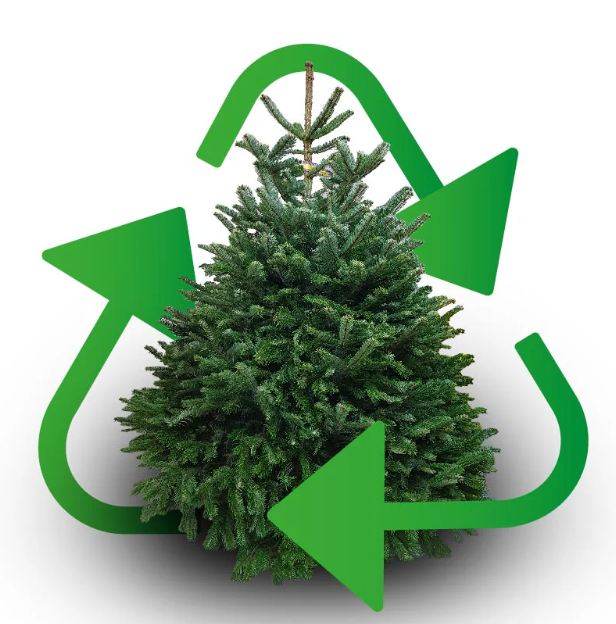 Christmas Tree Collection & Recycling Service