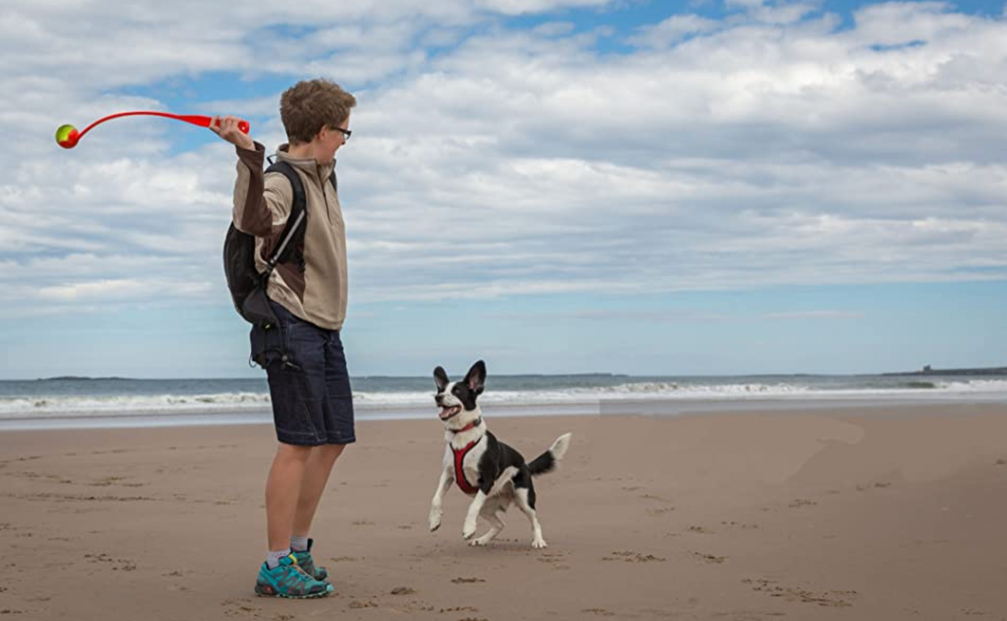 ***CLEARANCE*** - Dog Ball Launcher/Thrower/Hands Free Pick Up & Tennis ball